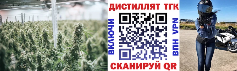 ОМГ ОМГ ТОР где можно купить Красный Кут ТГК гашишное масло